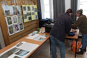 Workshop